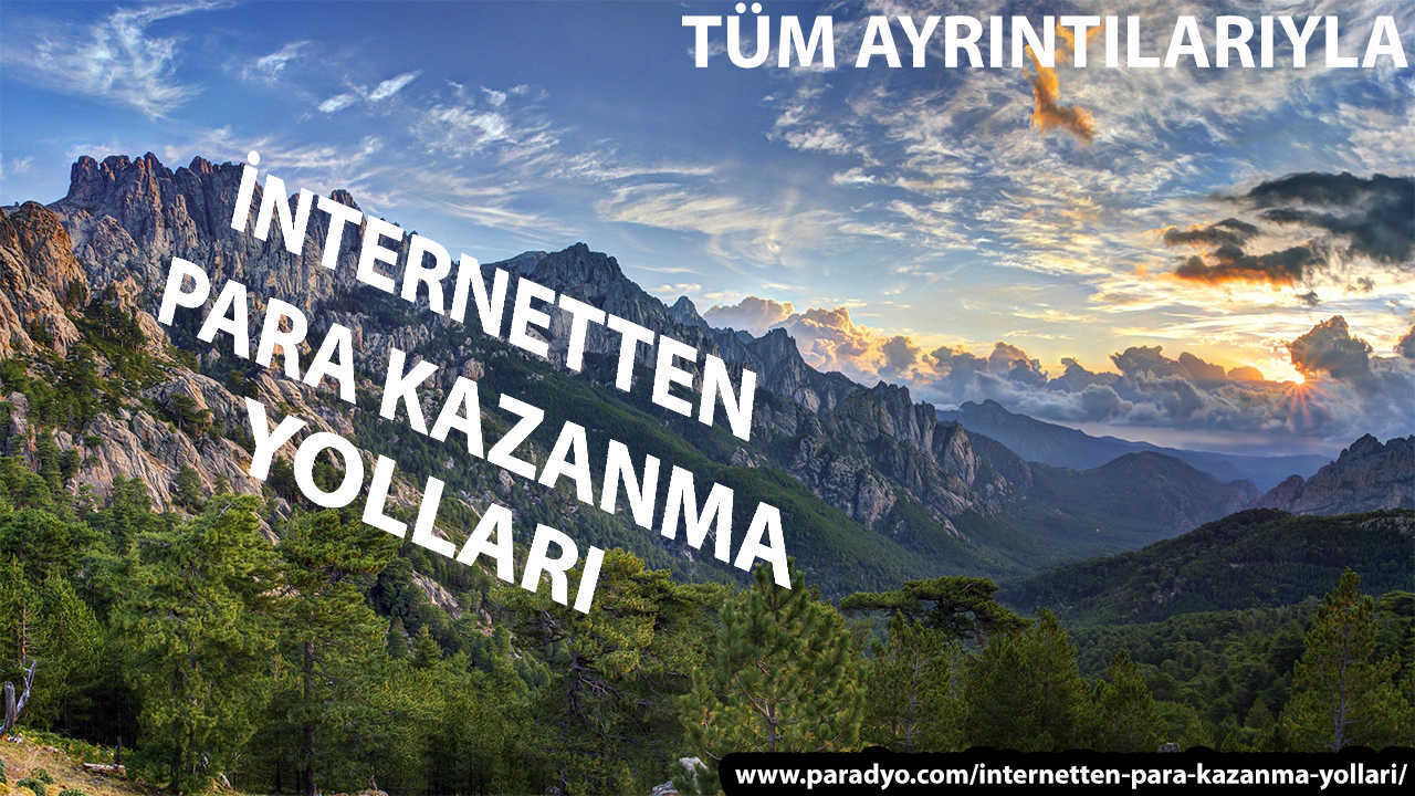 Para Kazanma Yolları Para Kazanma Yolları